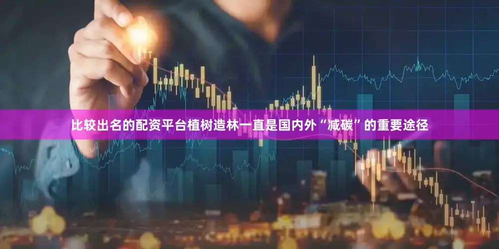 比较出名的配资平台植树造林一直是国内外“减碳”的重要途径