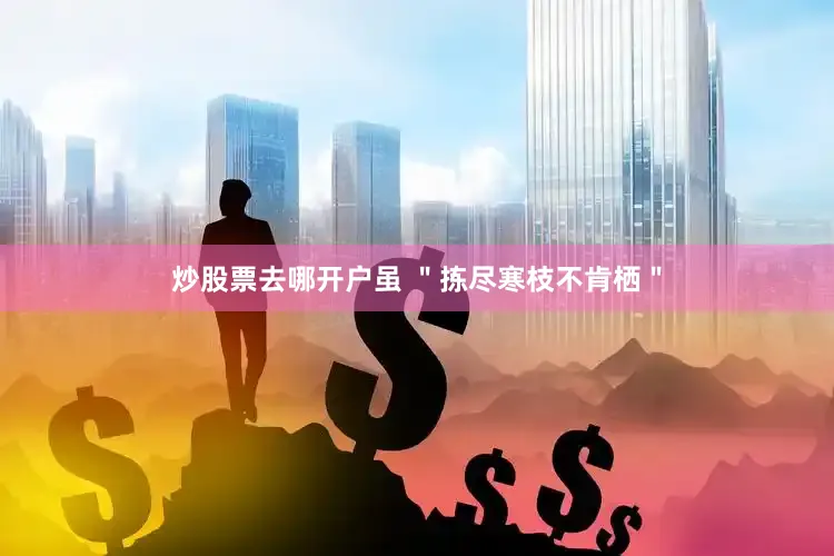 炒股票去哪开户虽 ＂拣尽寒枝不肯栖＂