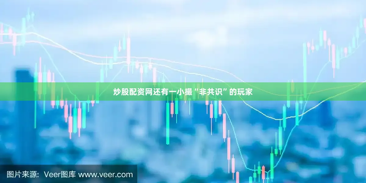炒股配资网还有一小撮“非共识”的玩家