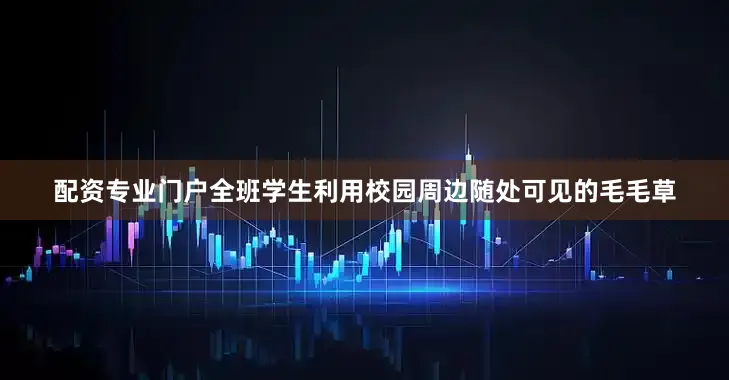 配资专业门户全班学生利用校园周边随处可见的毛毛草